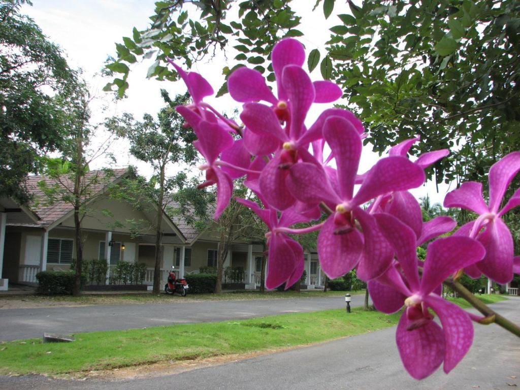 Krabi Flora Hotel Exterior photo